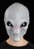 Adult Alien Visitor Mask Alt 1