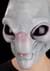 Adult Alien Visitor Mask Alt 2