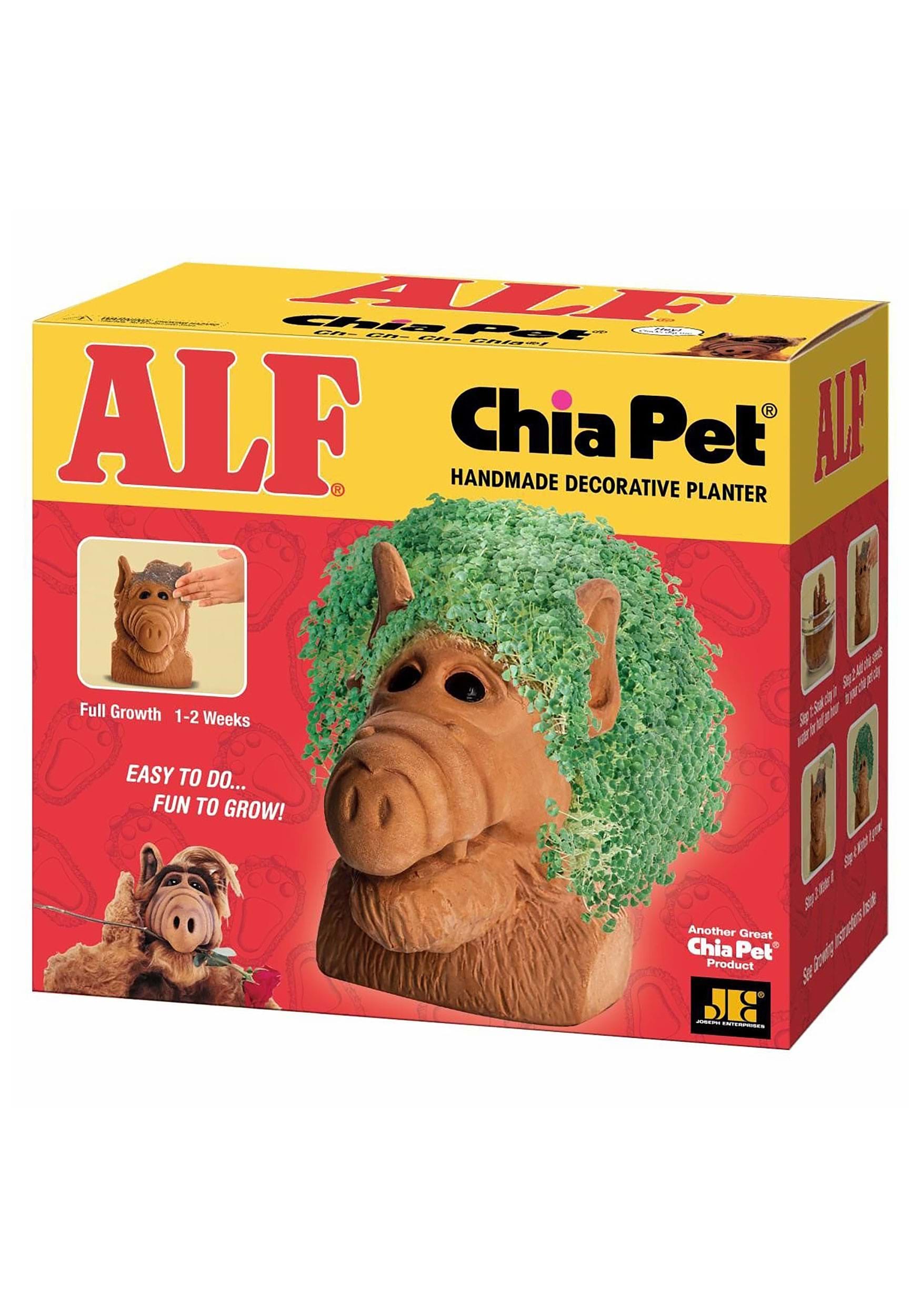 Chia Alf Pet