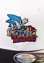 SONIC SITTING FLAT BRIM Alt 1