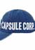 Dragon Ball Z Capsule Corp. Side Art Pigment Dye Hat 5