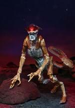 Aliens Kenner Tribute Panther Alien 7" Scale Action 5