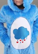 Care Bears Toddler Classic Grumpy Bear Costume Alt 2