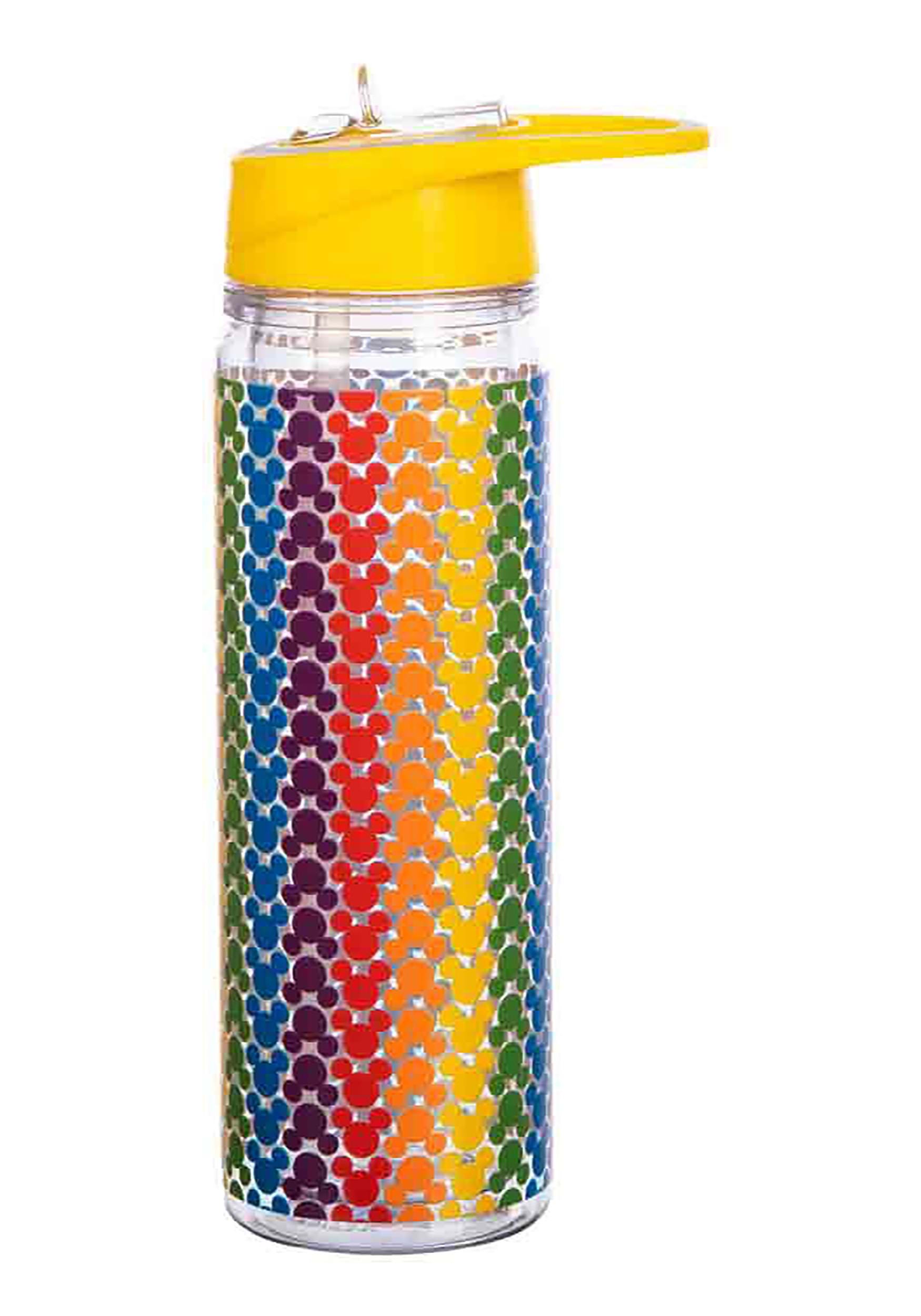 https://images.fun.com/products/79116/2-1-203804/disney-mickey-mouse-pride-rainbow-double-wall-water-bottle-1.jpg