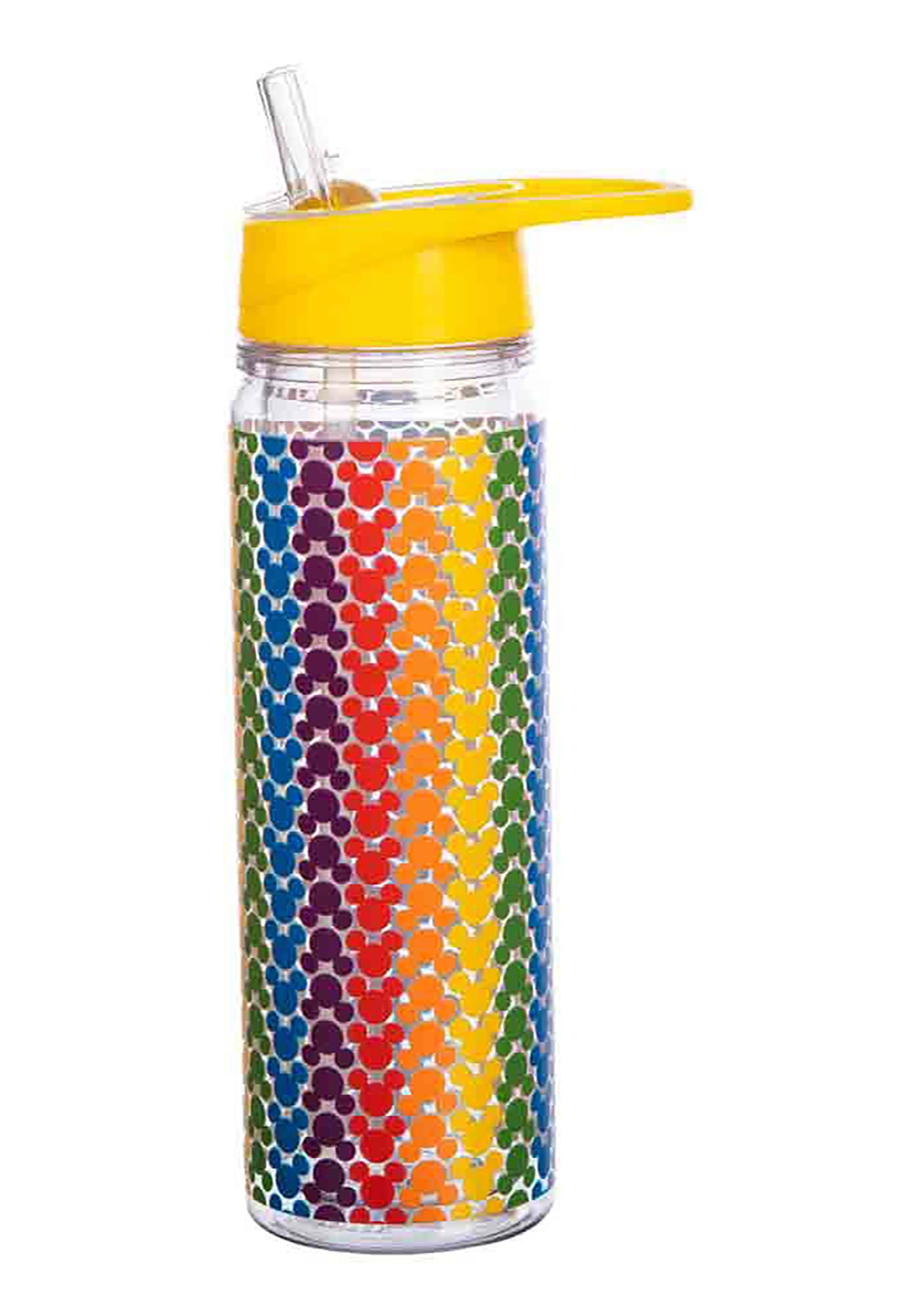 https://images.fun.com/products/79116/2-1-203805/disney-mickey-mouse-pride-rainbow-double-wall-water-bottle-2.jpg