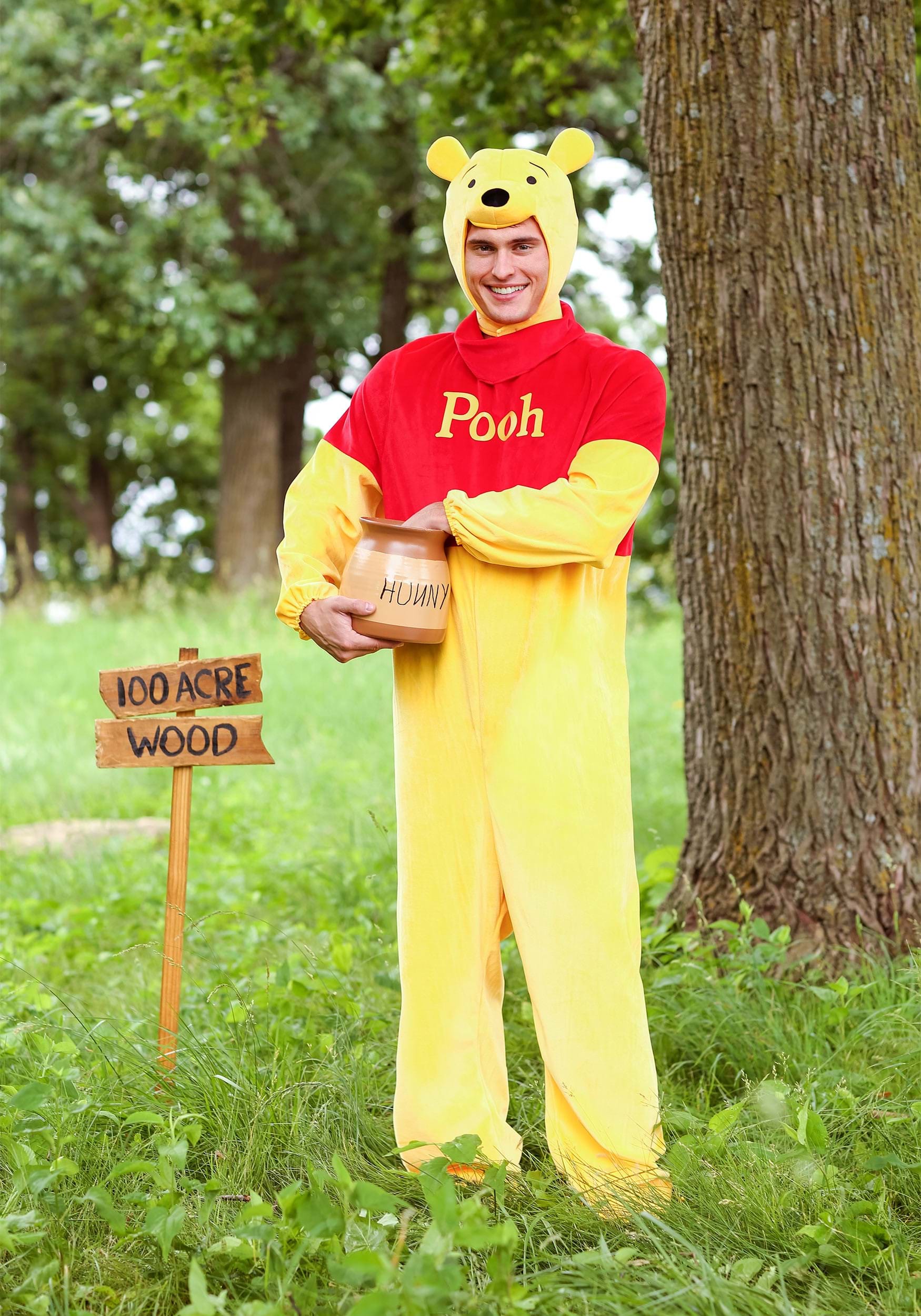 Photos - Fancy Dress Deluxe Disguise Limited Winnie the Pooh  Adult Plus Costume Black/Orang 