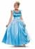 Deluxe Plus Size Cinderella Women's Costume