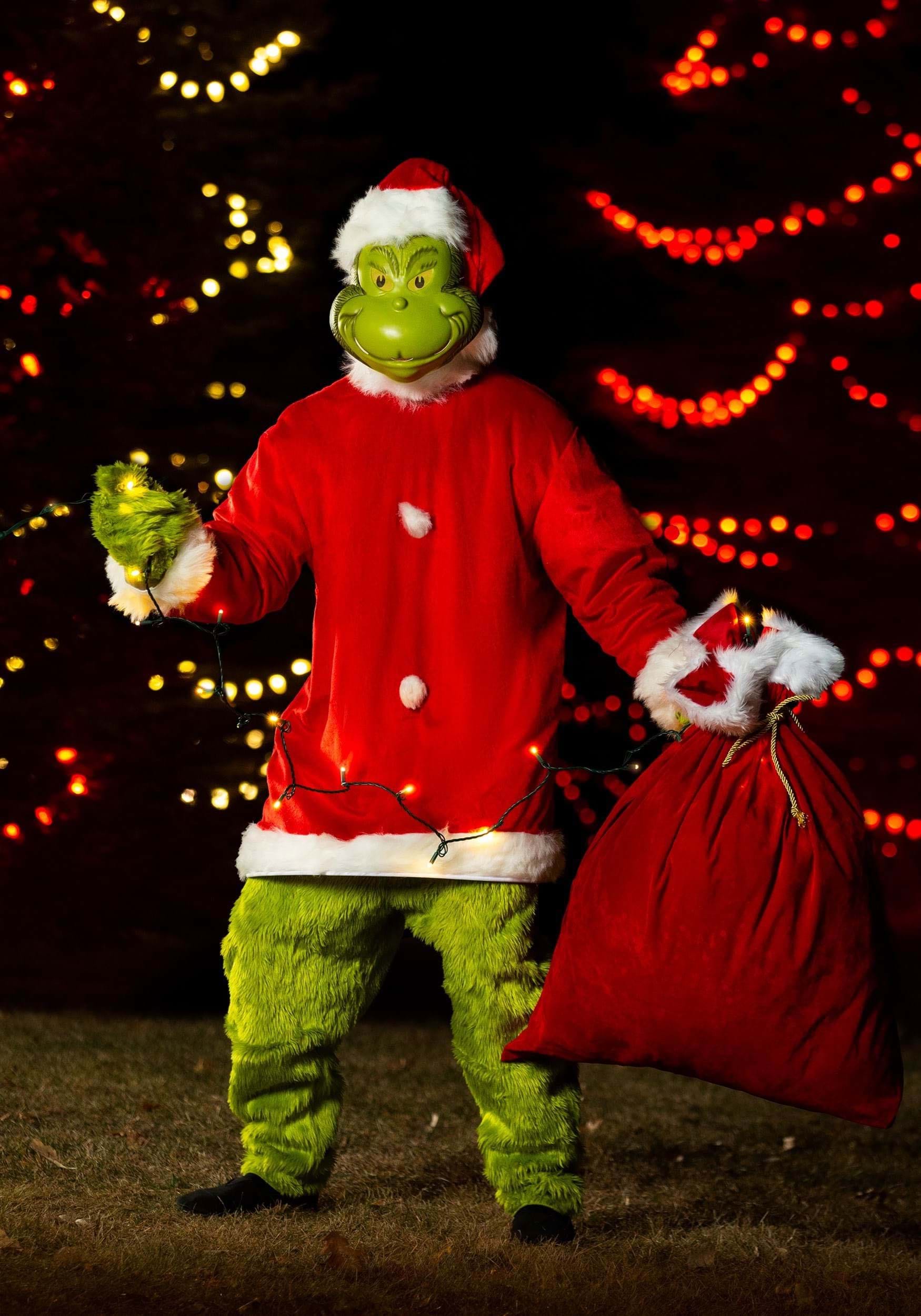 https://images.fun.com/products/80008/1-1/the-grinch-santa-adult-plus-size-deluxe-costume.jpg