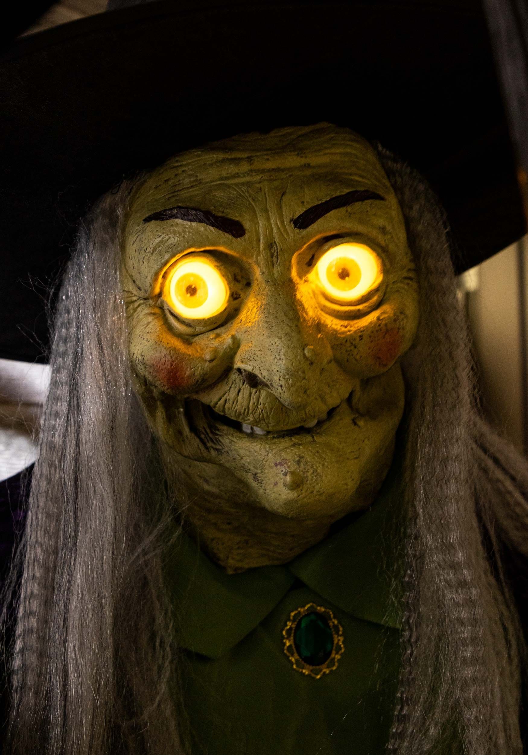 Stirring Up Trouble Animated Witch Decoration - Picture 16 of 19