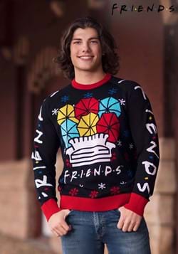 Adult Friends Holiday Sweater
