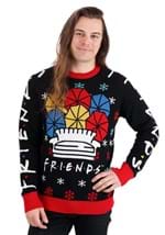 Adult Friends Holiday Sweater Alt 3