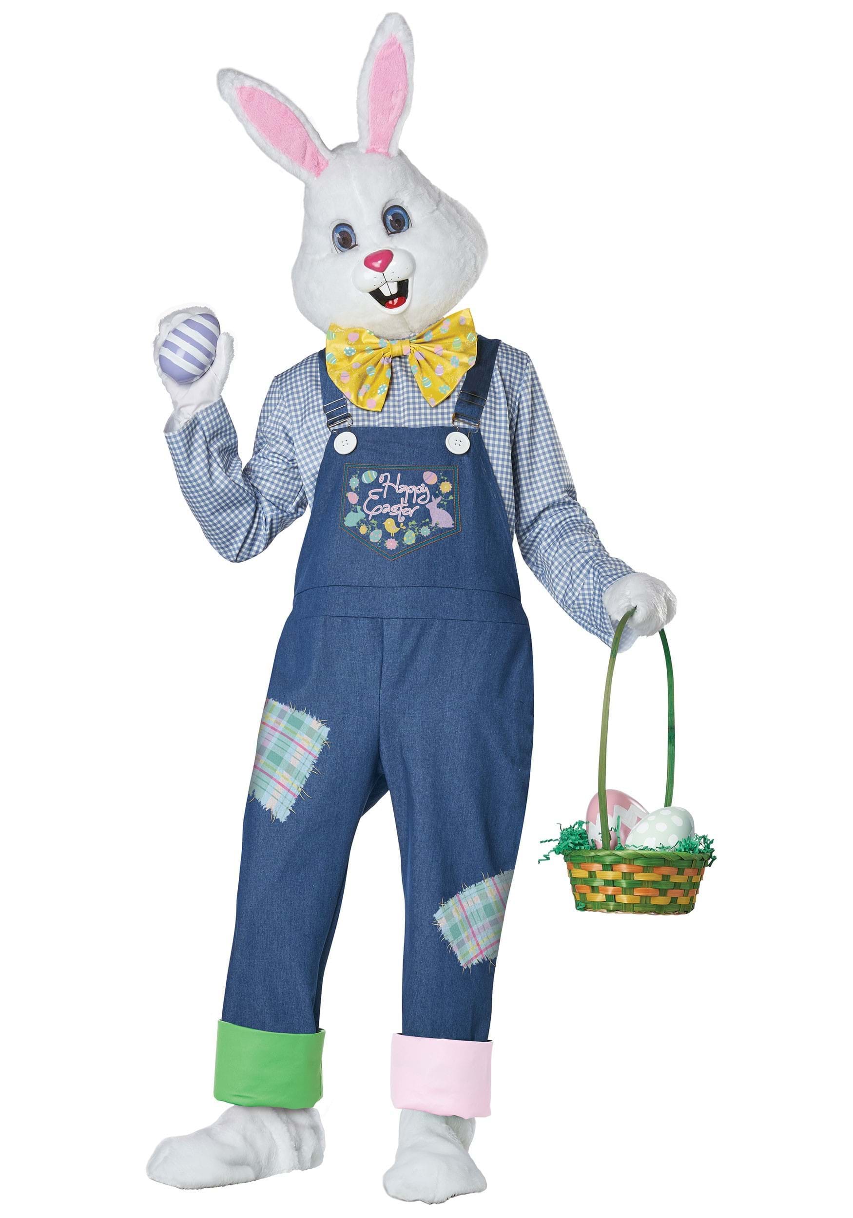 Easter Bunny Plus Size Happy Costume
