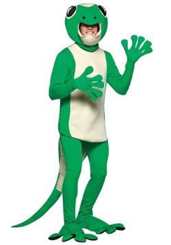 Adult Persuasive Gecko Costume