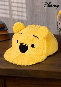 Disney Winnie the Pooh Fuzzy Cap-update
