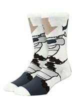 AVATAR THE LAST AIRBENDER APPA 360 CHARACTER SOCKS