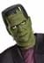 Adult Monsters Deluxe Frankenstein Costume Alt2
