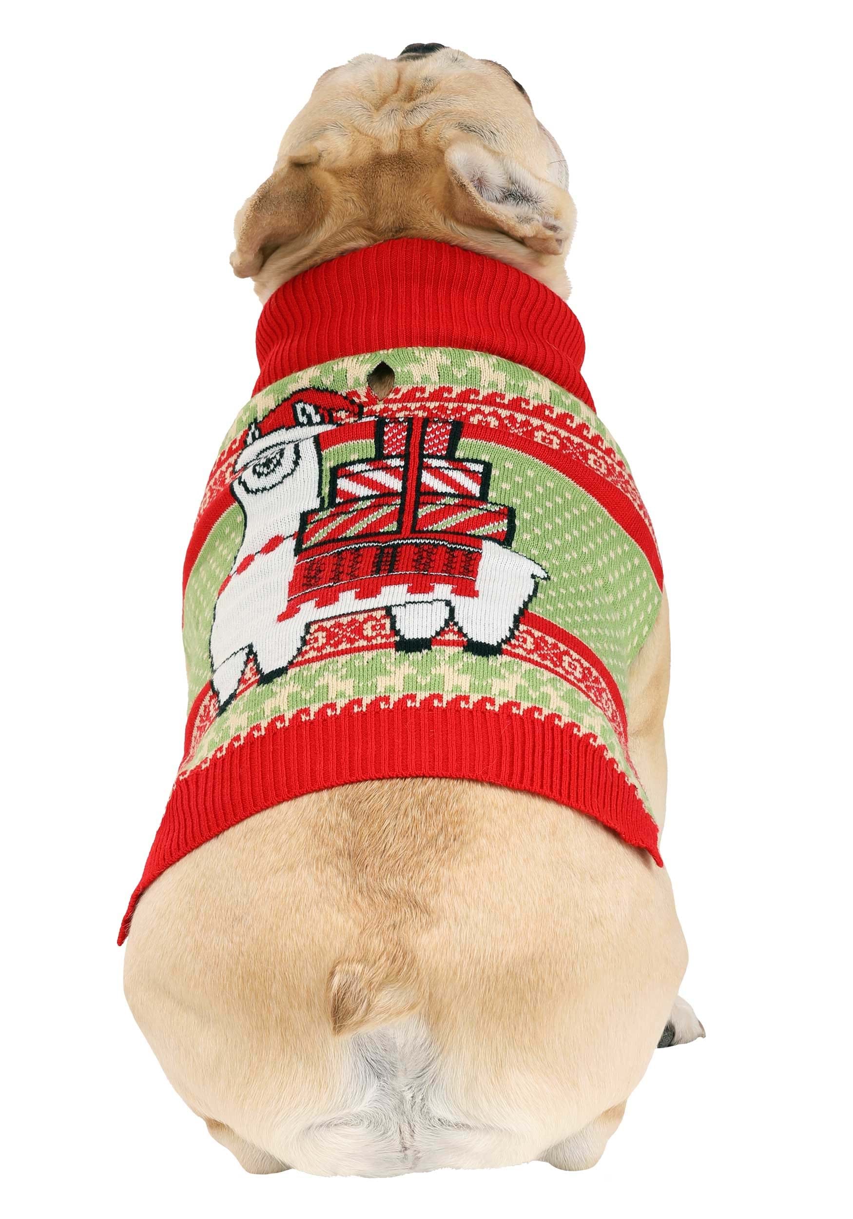 Ugly Sweater Dog & Human Matching Set - Pet Costume Center