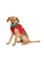 Christmas Present Pet Sweater Alt 7