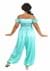 Aladdin Plus Size Womens Jasmine Costume Alt 1