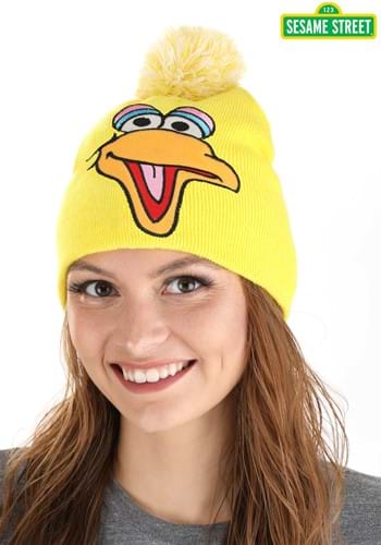 Big Bird Pom Winter Hat