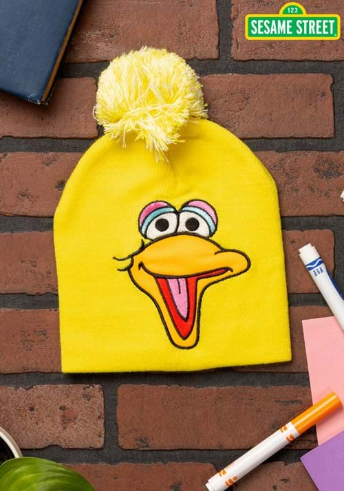 Big Bird Pom Winter Hat