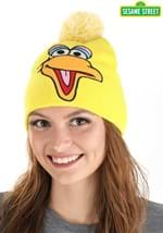 Big Bird Pom Winter Hat Alt 2