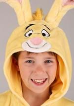 Kids Deluxe Disney Winnie the Pooh Rabbit Costume Alt 5