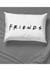 Friends Classic Logo 2 Pack Reverse Pillow Alt 2
