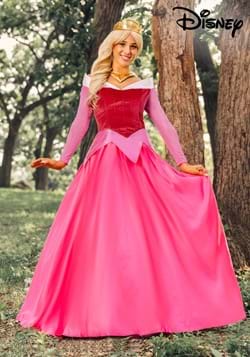 Womens Disney Sleeping Beauty Premium Aurora Costume