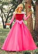 Womens Disney Sleeping Beauty Premium Aurora Costume Alt 1