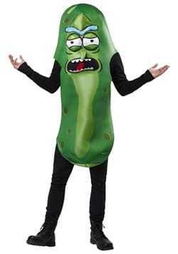 Adult Rick and Morty Pickle Rick Costume