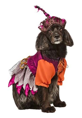 Photos - Fancy Dress Rubies Costume Co. Inc Hocus Pocus Mary Sanderson Pet's Costume Purple/ 