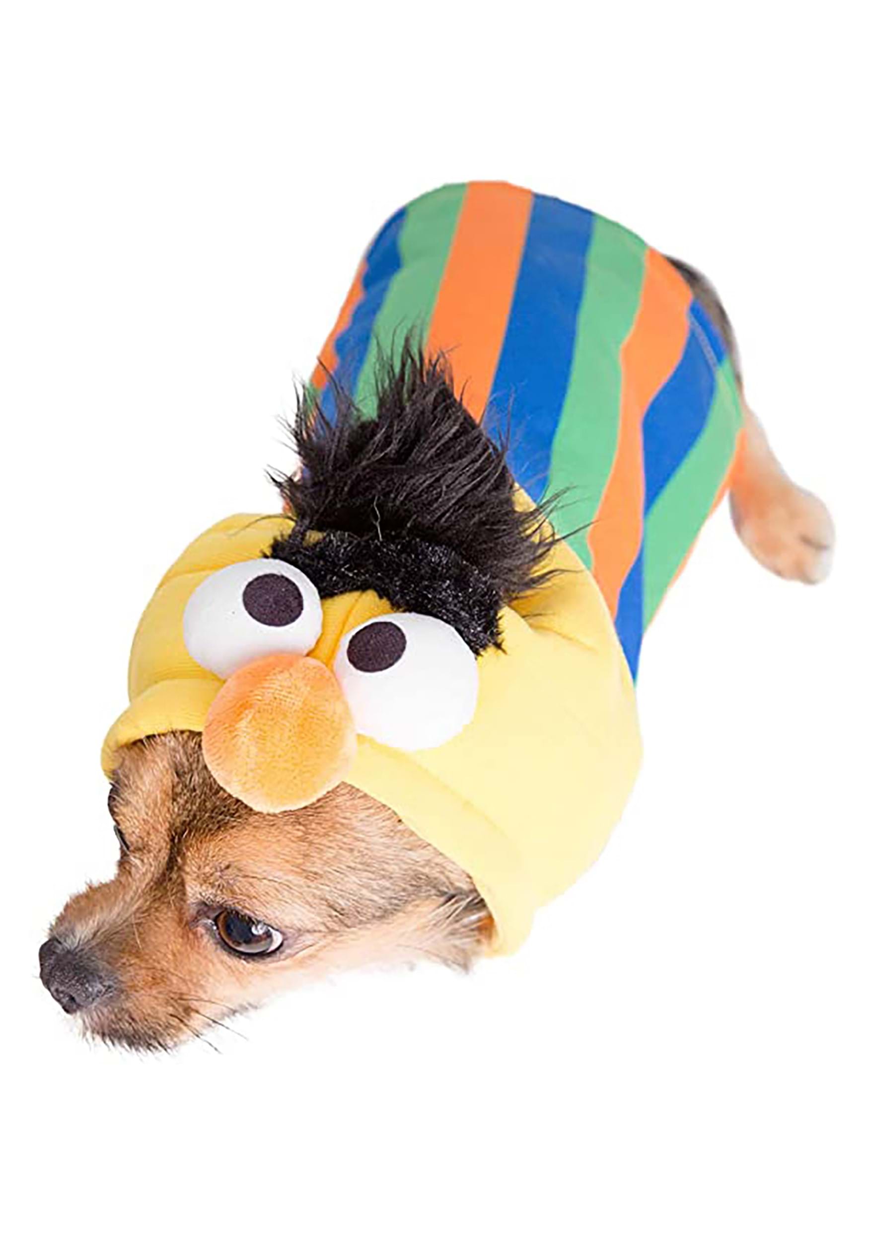 Sesame Street Bert Costume for Pets