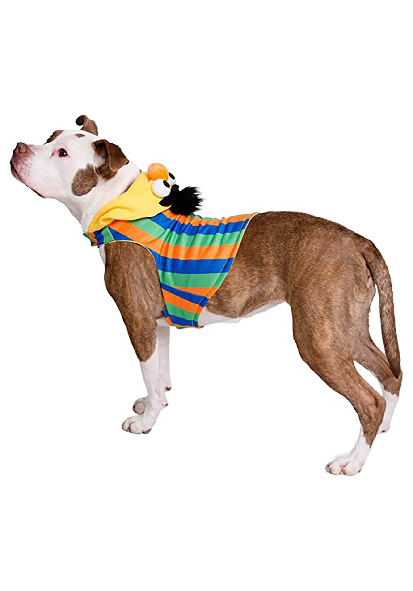 Sesame Street Bert Costume For Pets