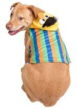 Sesame Street Bert Pet Costume Alt1