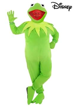 Plus Size Disney Kermit the Frog Costume