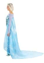 Adult Premium Disney Frozen Elsa Costume Alt 9