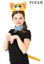 Sox Face Headband Collar Tail Accessory Kit