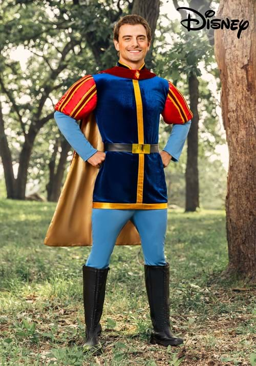 Disney Sleeping Beauty Prince Phillip Mens Costume