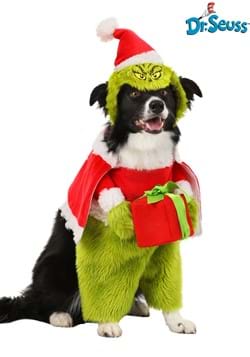 The Grinch Santa Dog Costume
