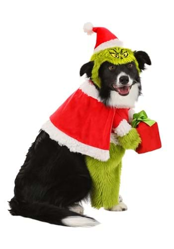 The Grinch Santa Dog Costume