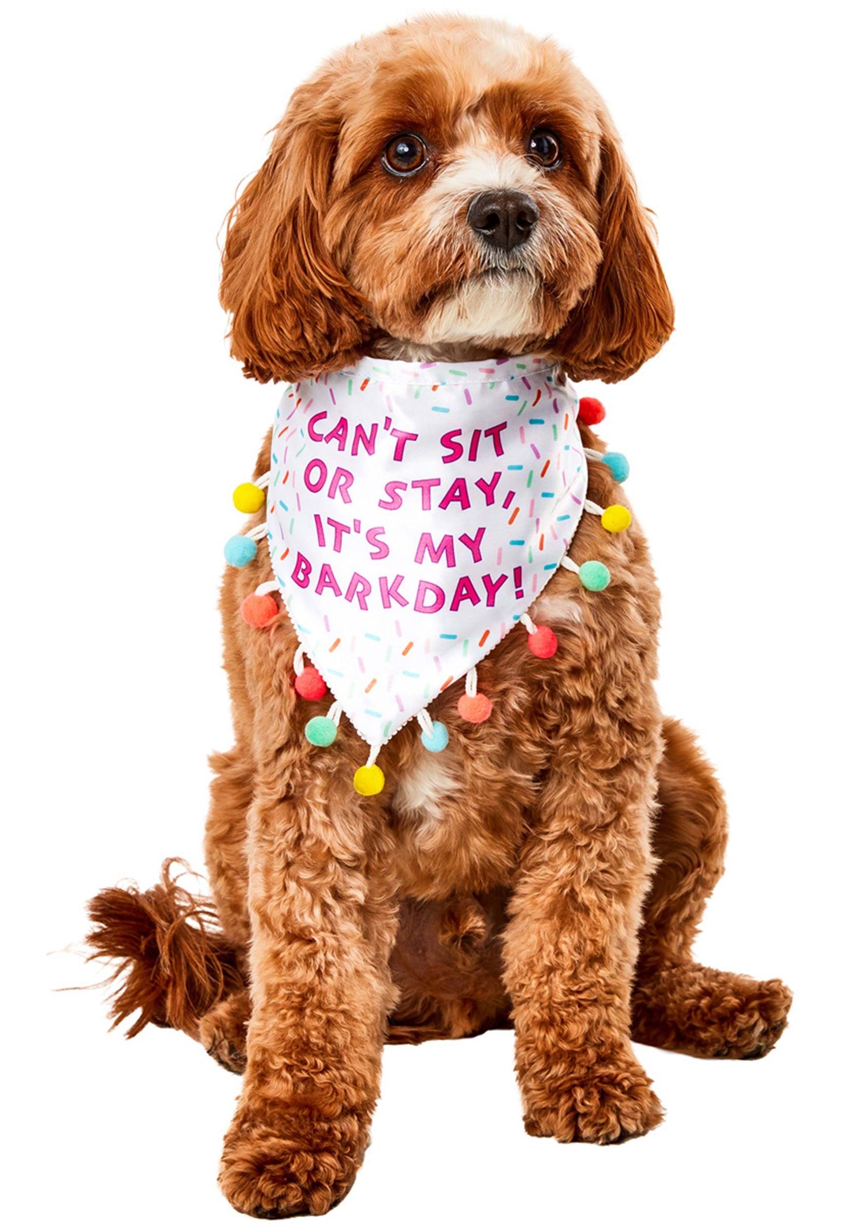 Sprinkle Birthday Bandana Pet Costume | Pet Dog Costumes