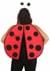 Ladybug Kit Alt 2