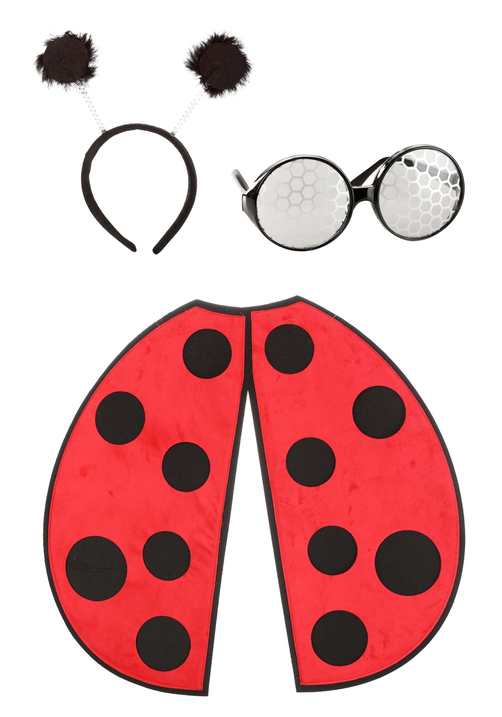 Ladybug Kit