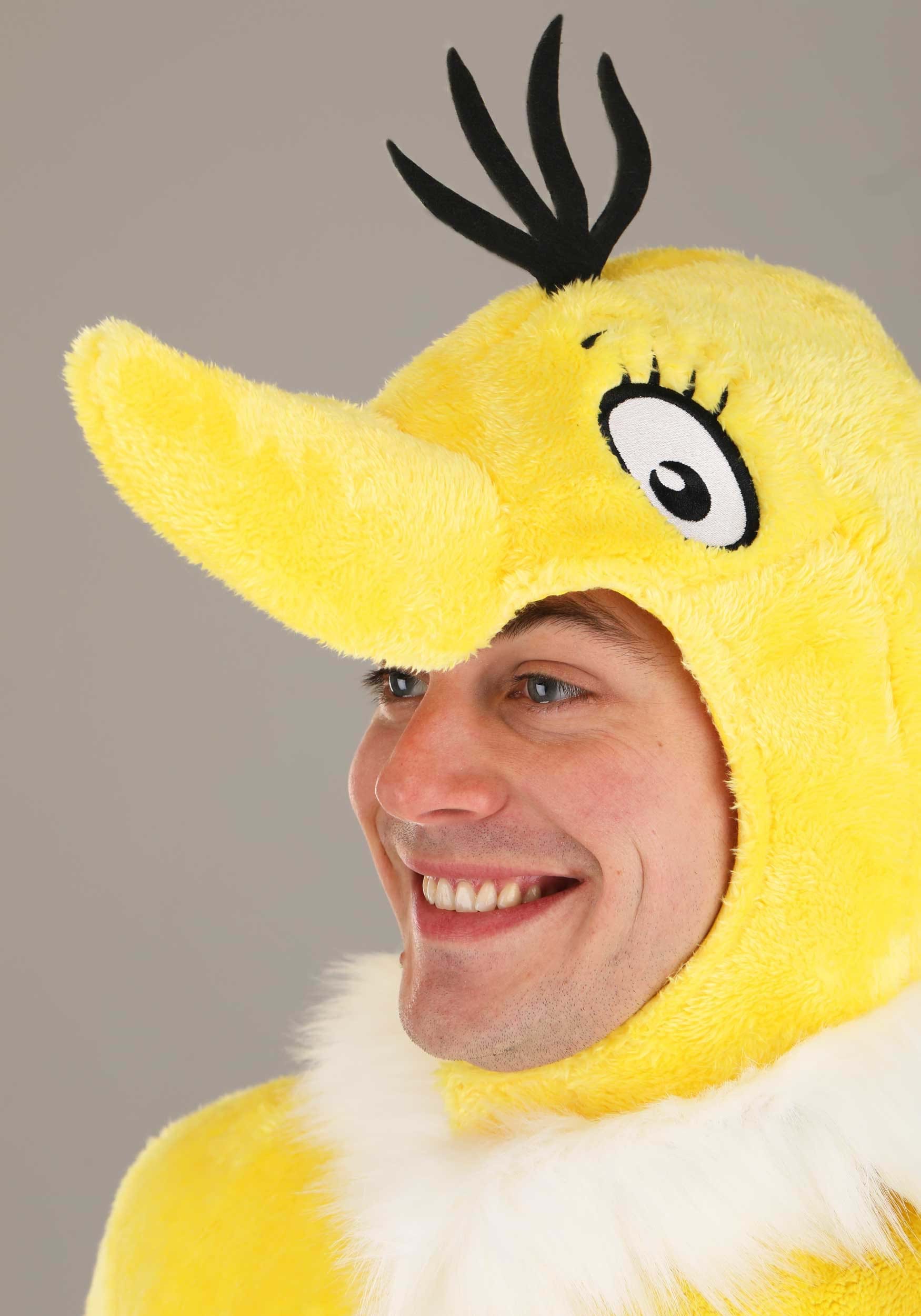 large picture of sneetches