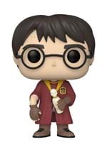 POP Movies: HP CoS 20th- Harry