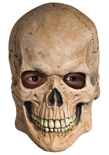 Adult Skull Mask
