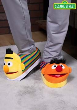 Adult Bert Ernie Plush Slippers