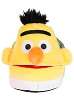 Bert & Ernie Plush Slippers Adult Alt 4