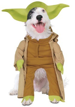 Dog Yoda Star Wars Costume